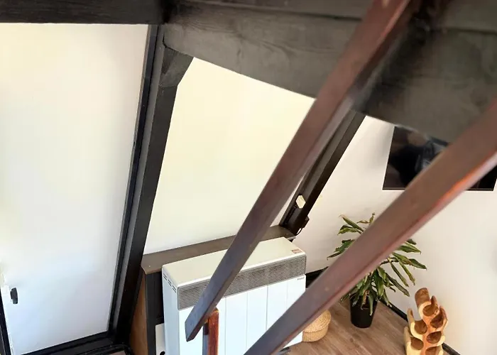 Vakantiehuis Tiny House Trudi Mit Garten